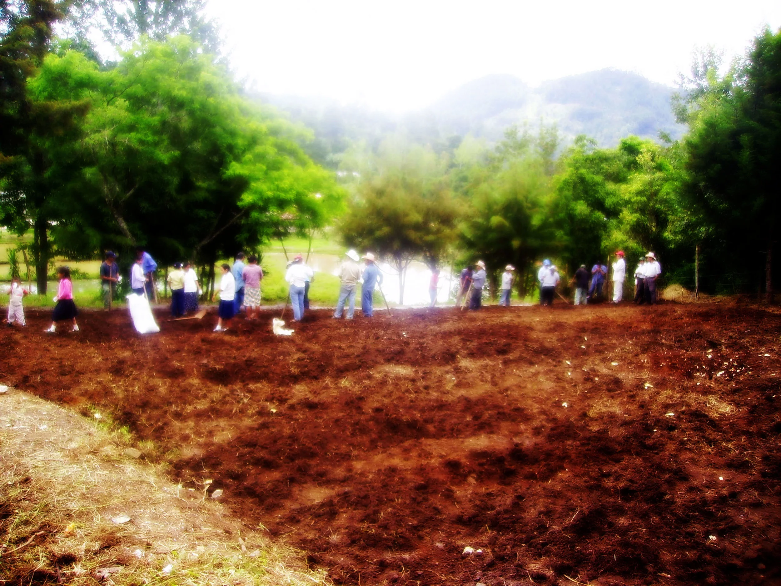 school-and-garden7.jpg