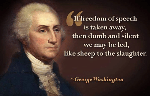 if-freedom-of-speech-is-taken-away-then-dumb-and-15730385.png