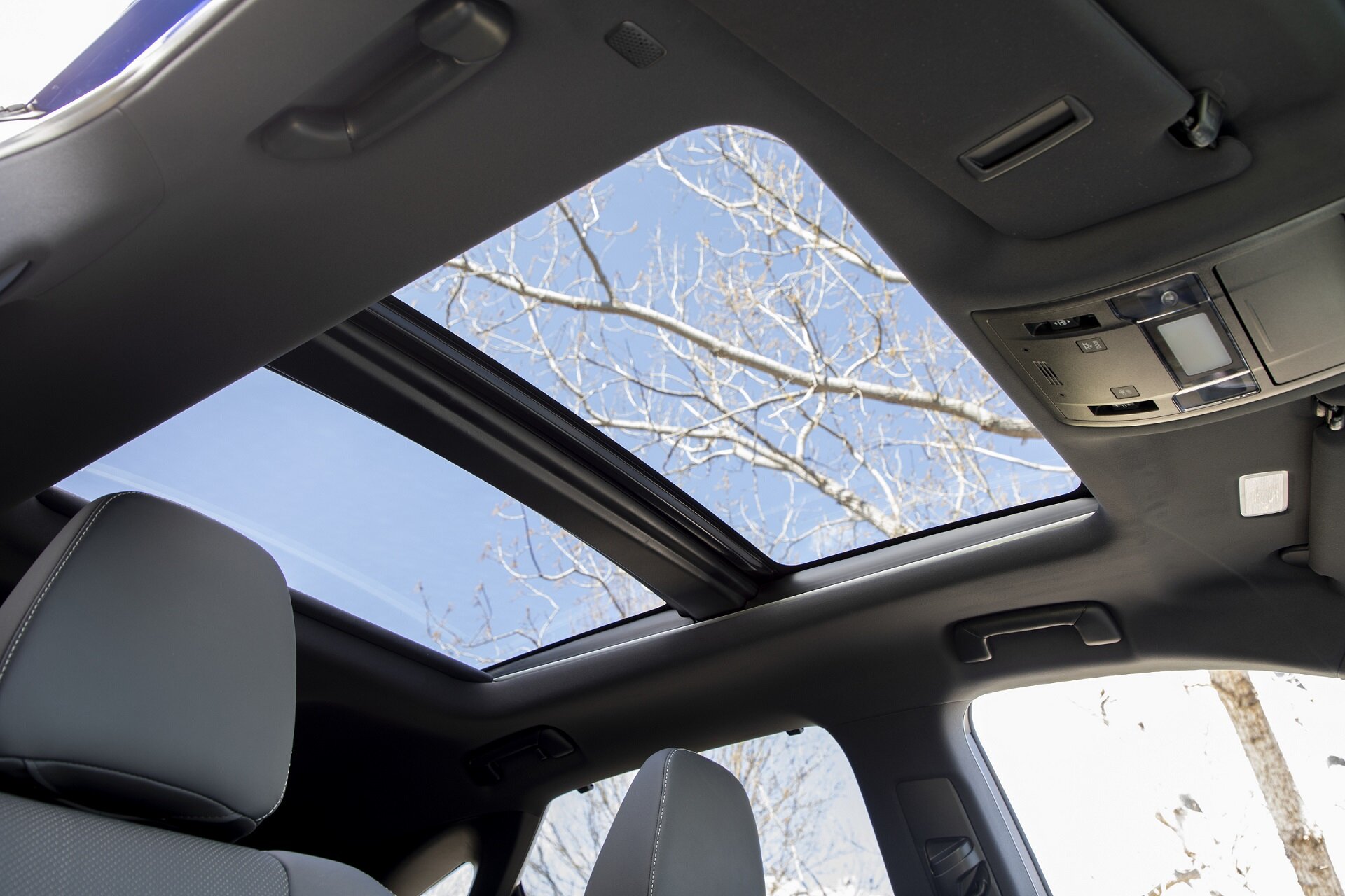 hr-54++2019+Lexus+RX+300+F+Sport+interior.jpg