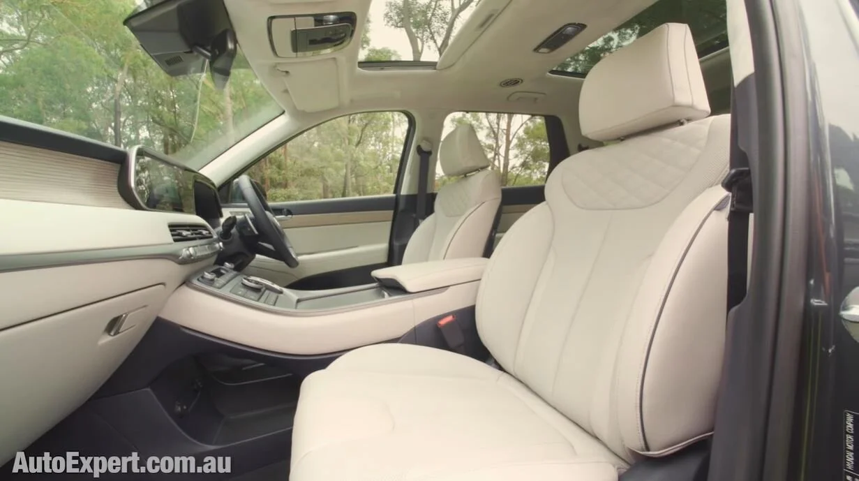 palisade interior 1.JPG