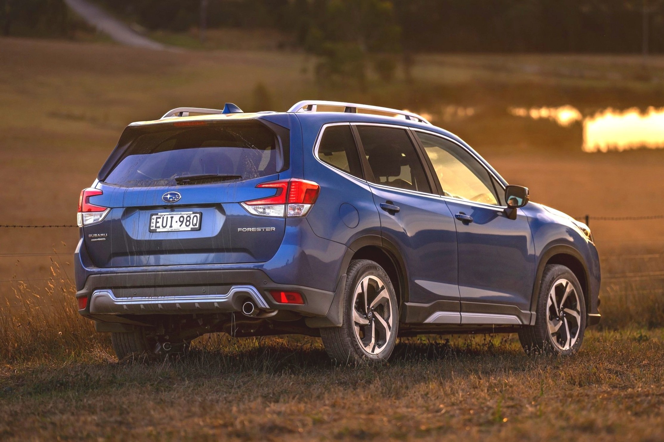 Forester has an additional 130mm of height (headroom)