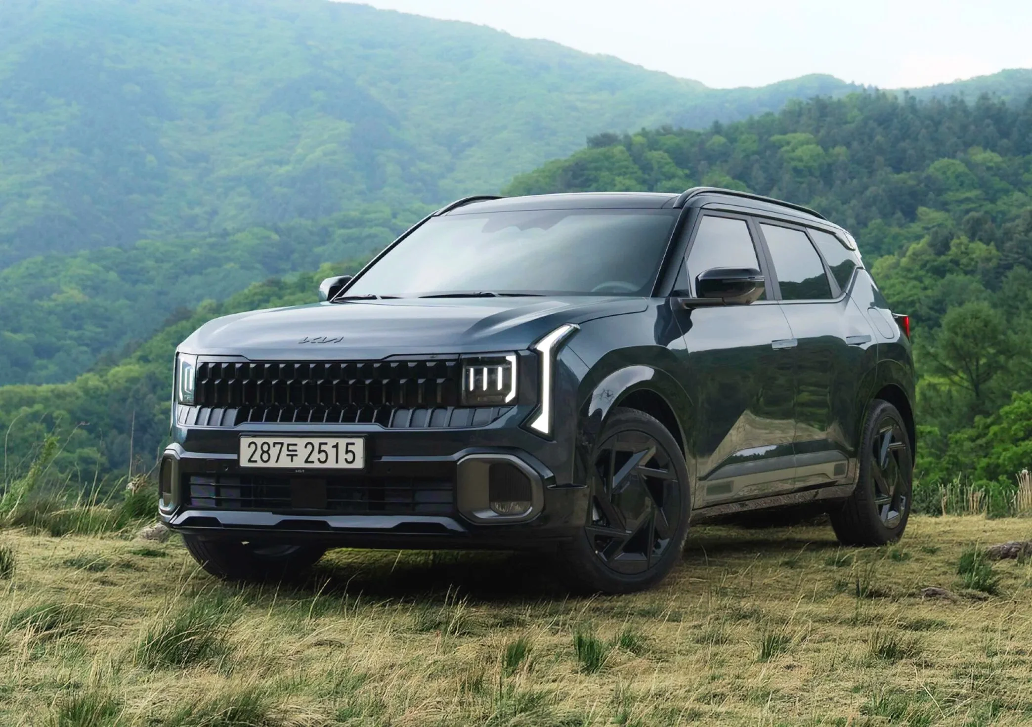 Kia Seltos review and buyer's guide