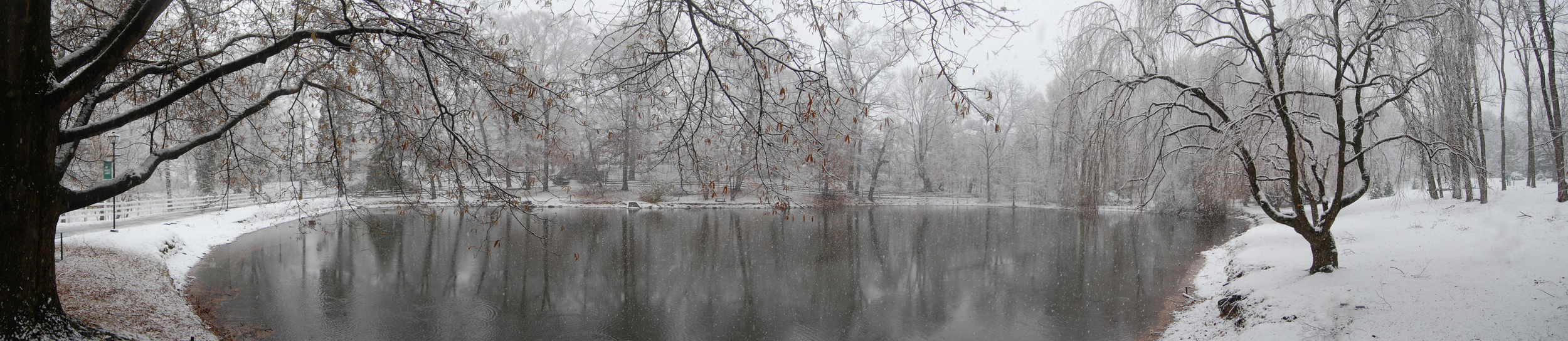 Snowy panoramas - Winter arrived in Bucks County today