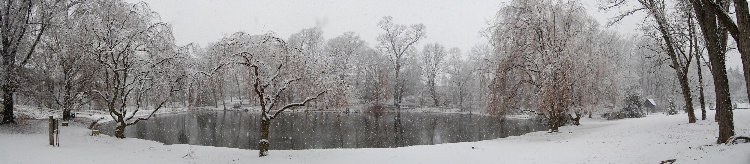 Snowy panoramas - Winter arrived in Bucks County today