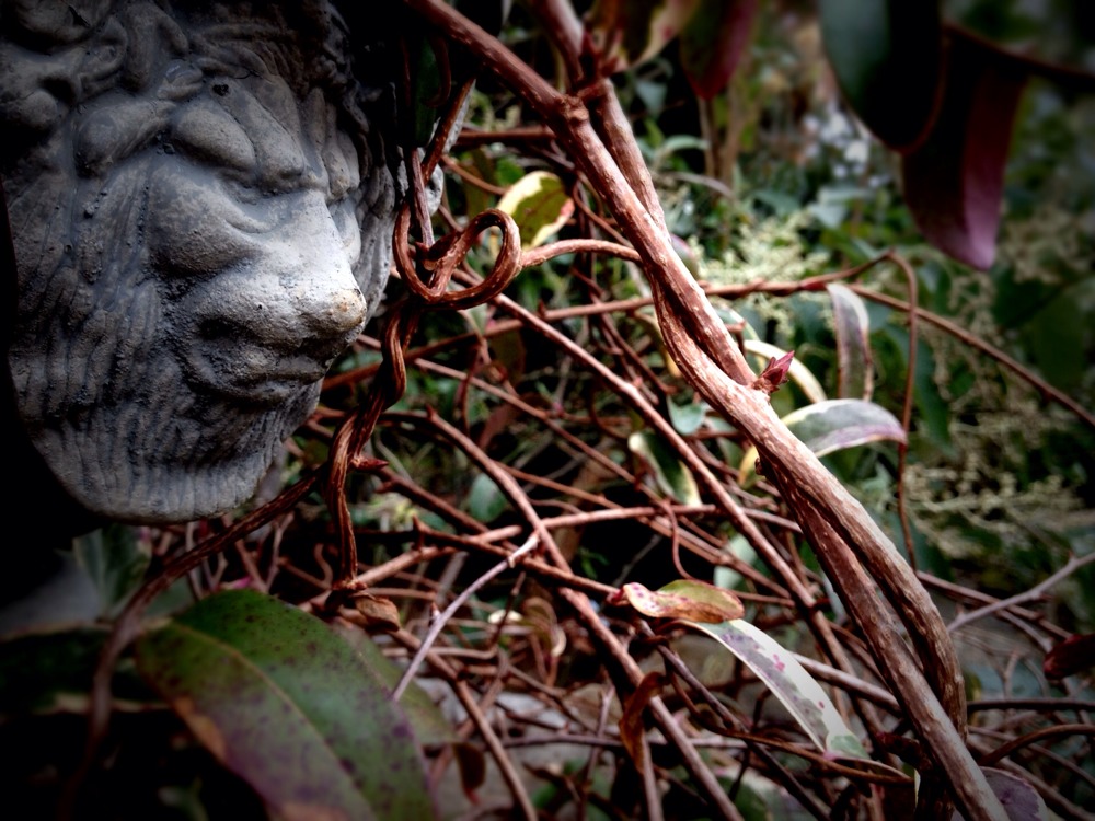 Arboretum Photo Walk - Mobile Pics - #Scio12