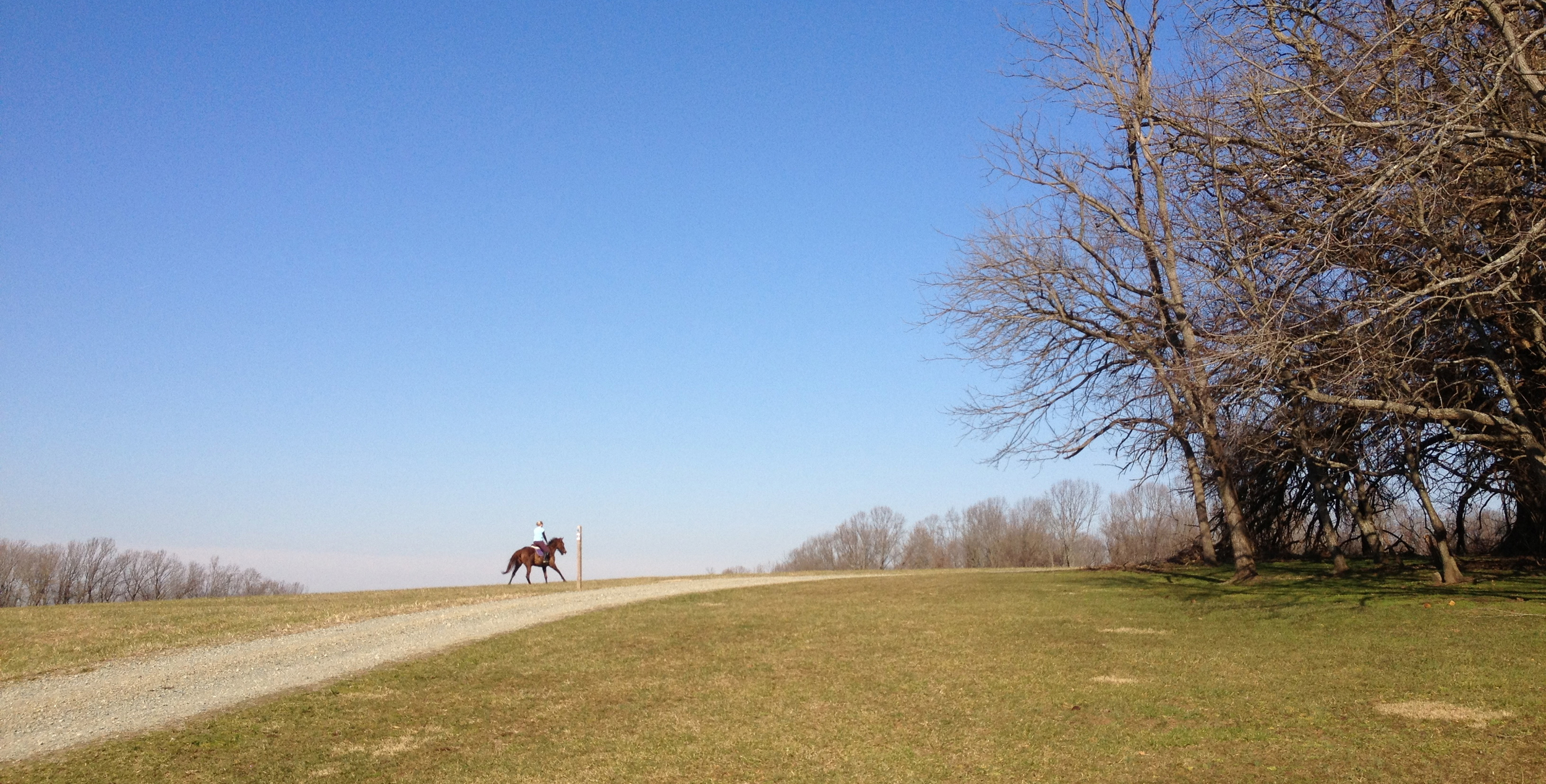 January can't get better than this - a perfect afternoon in Fair Hill