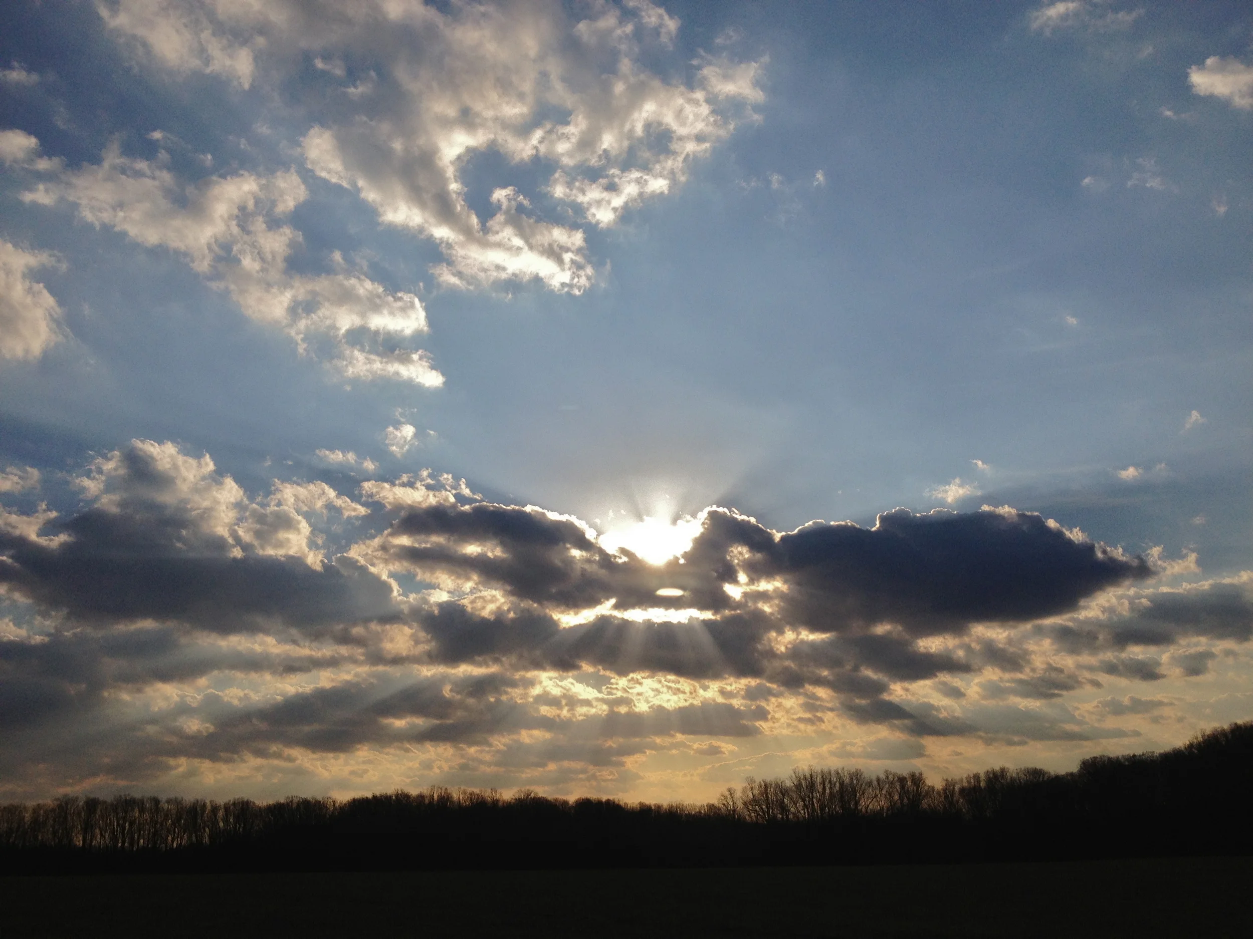 January can't get better than this - a perfect afternoon in Fair Hill