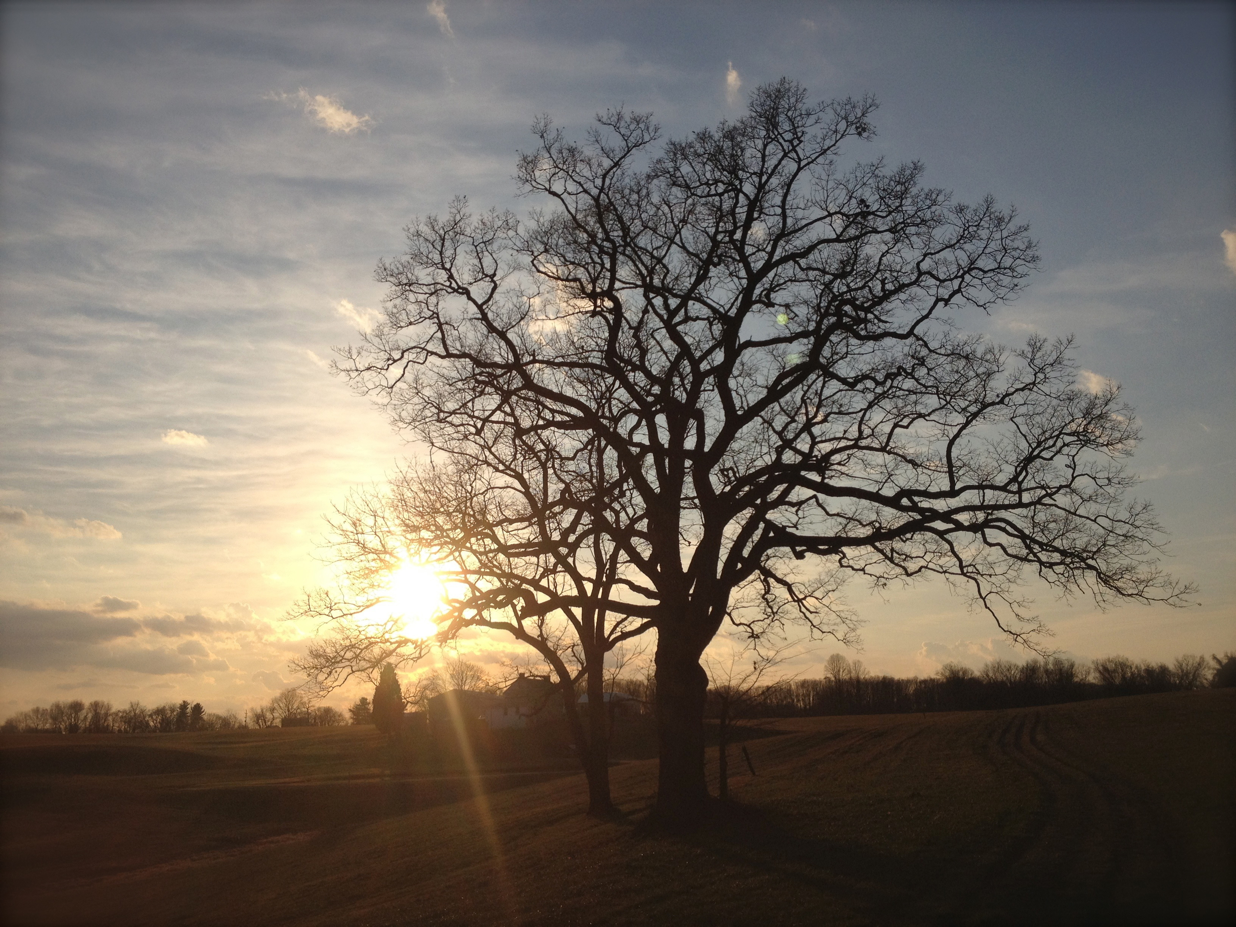 January can't get better than this - a perfect afternoon in Fair Hill