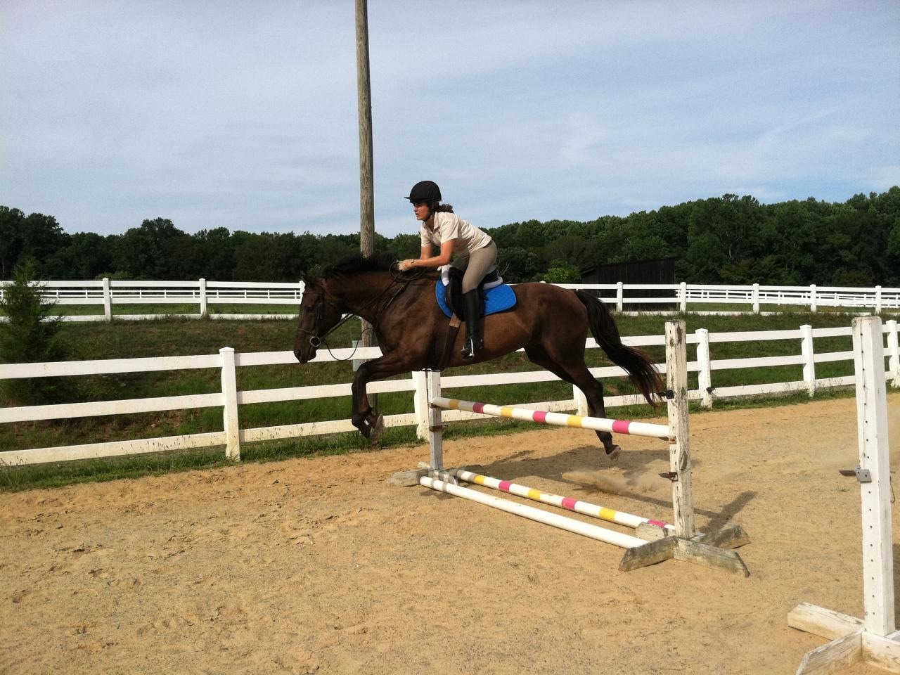 My Pony Club and eventing days are long past and I just started riding again recently. At first, I was seriously rusty and felt like a rag doll flopping around up there. But with consistent work and regular lessons, those flakes of rust are gradually falling away and I'm feeling secure and confident. To be jumping again totally rocks. No better feeling than to be flying with a horse!