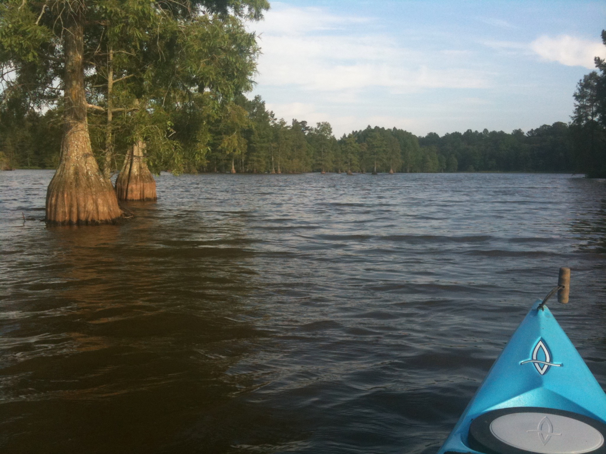 Along the Water Trail - Paddling Trap Pond