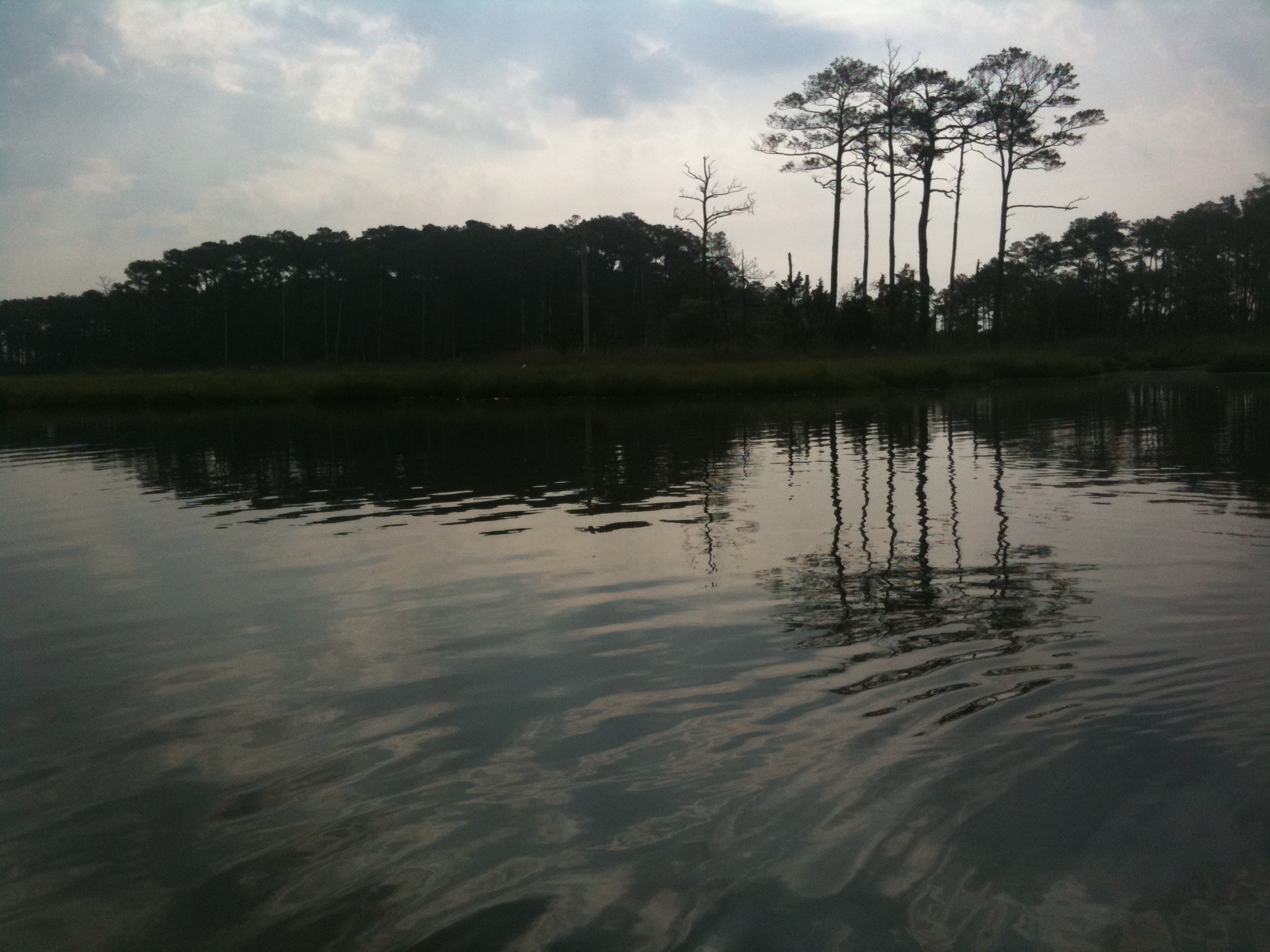 Along the Water Trail - Morning Paddle in Assawoman Refuge