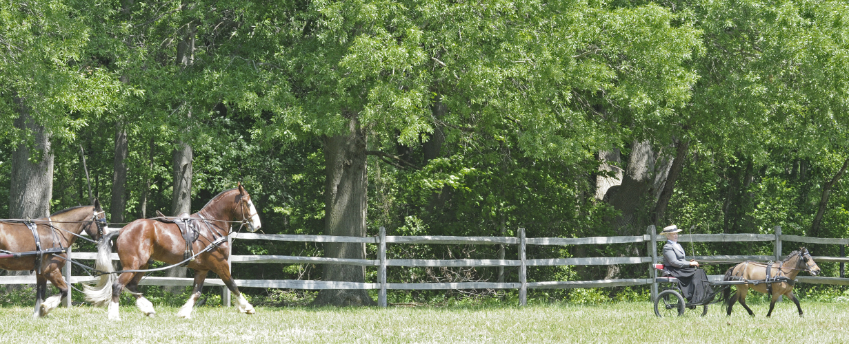 Delmarva Driving Club - Spring Show Photos - 7 May 2011