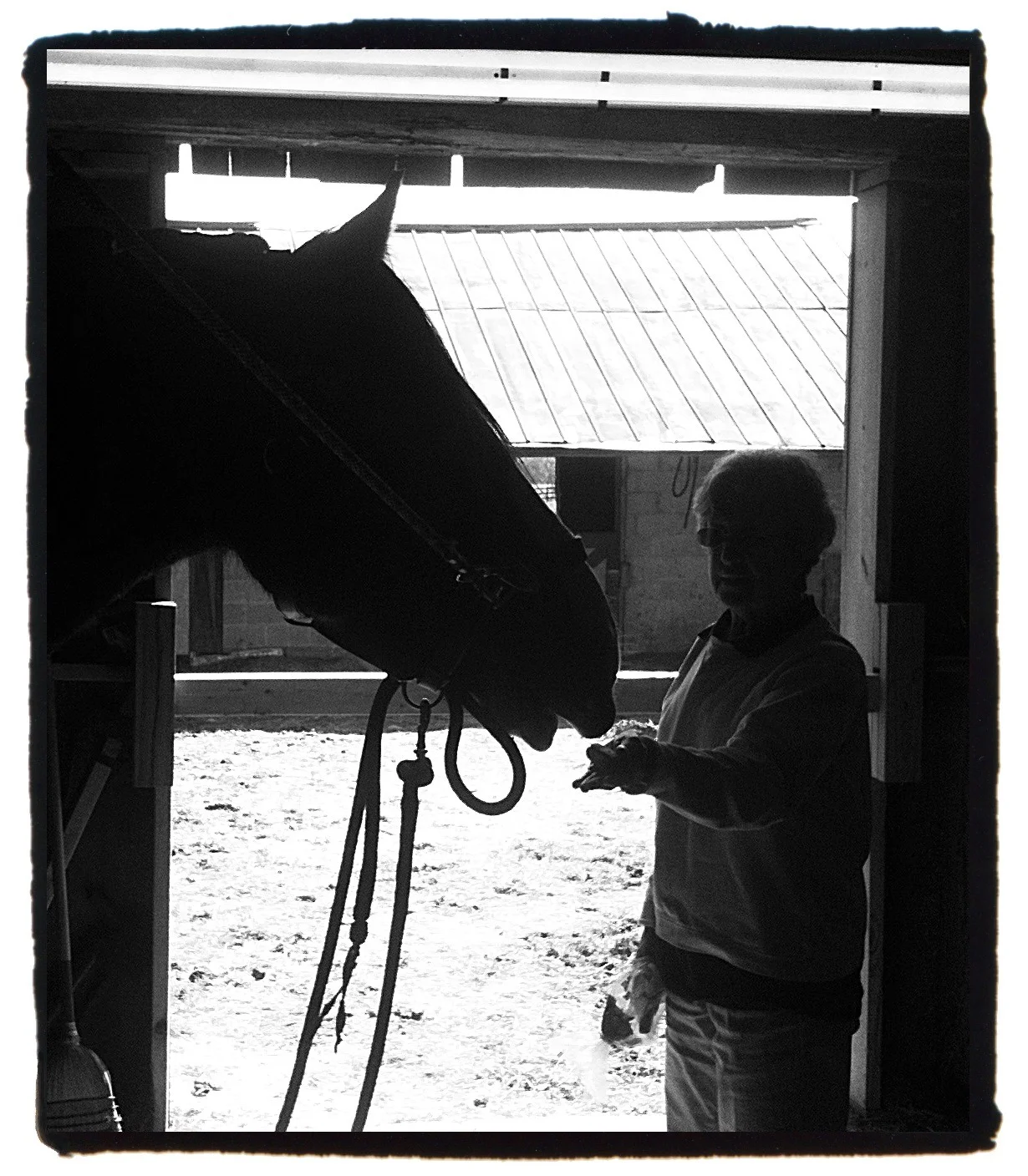 My mum is not horsey, although many assume she is simply because she's British. She's also diminutive. Love this quick pic of her & her grandpony - shows how she's 'less than two Huna-heads' tall.