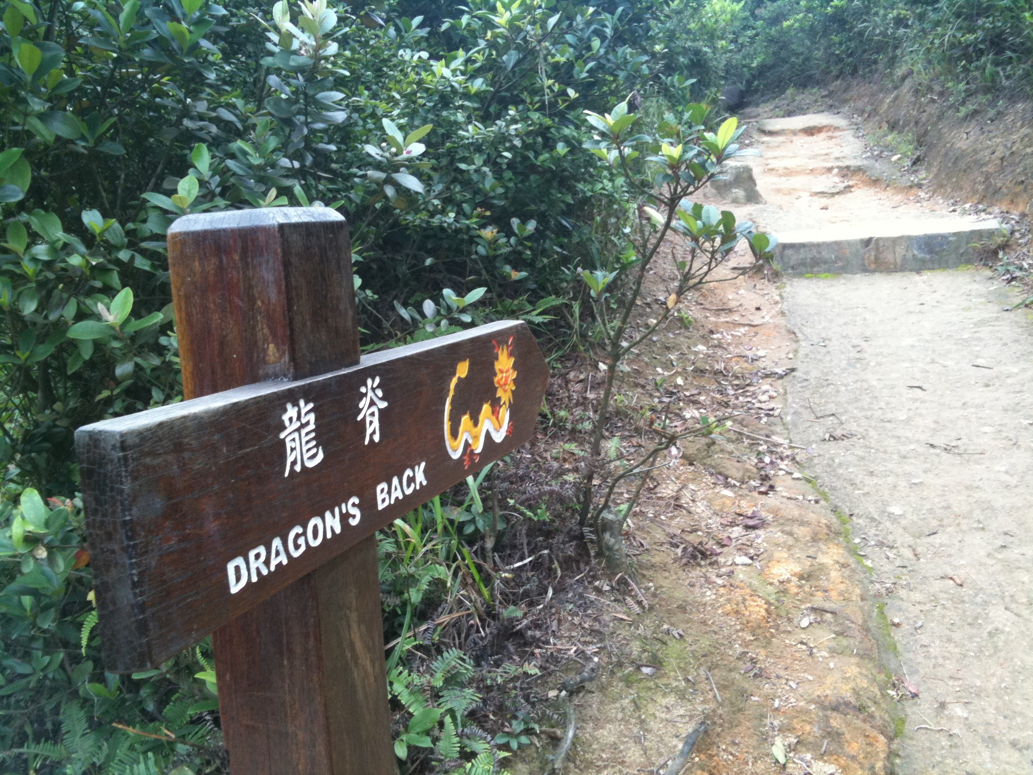 Hong Kong - Hiking Dragon's Back - Mobile Pics