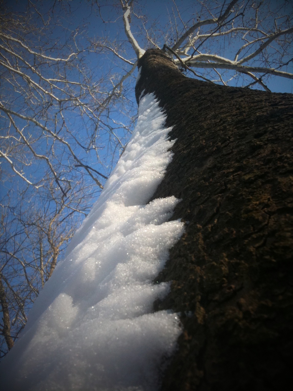 Dec 09 Storm - Mobile photos 