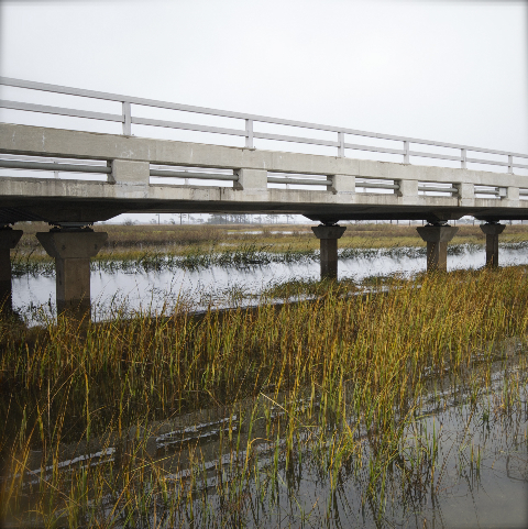 Nor'easter Aftermath - Delaware Beaches & Bay