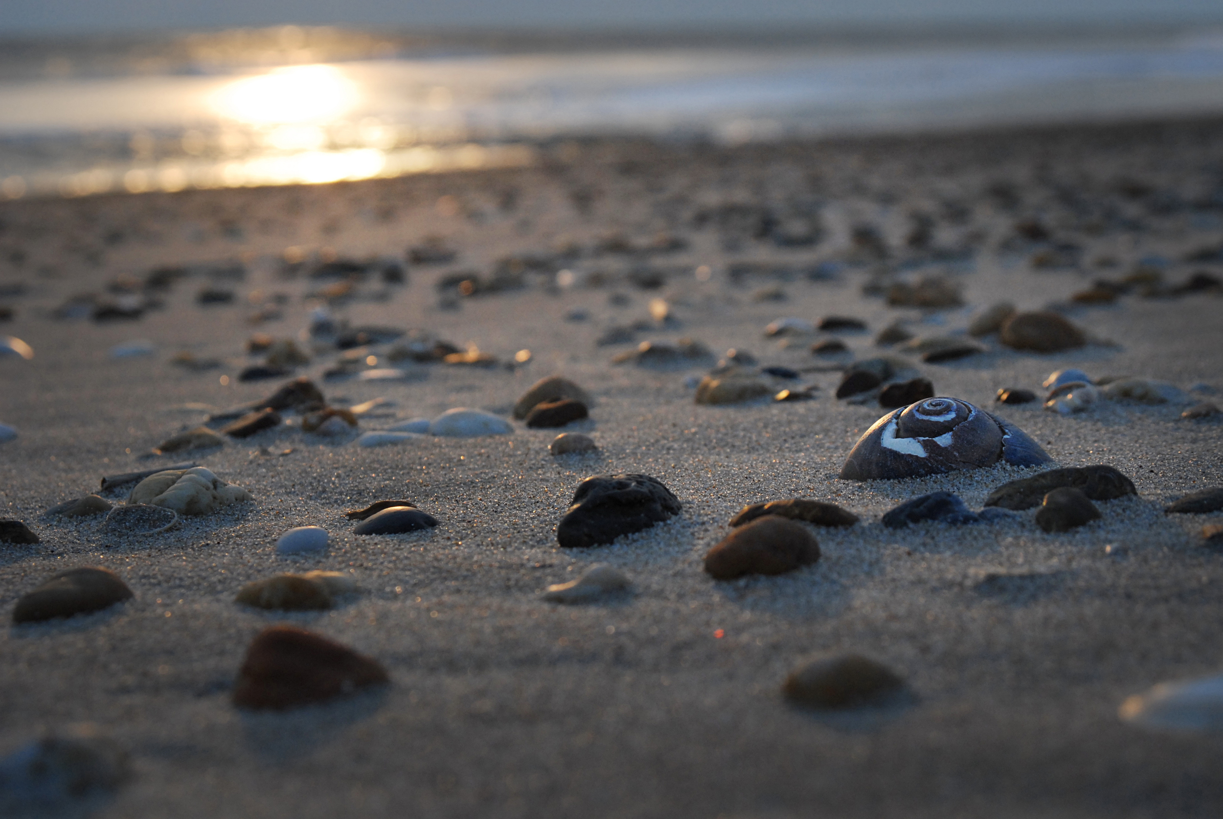 On Delmarva: Atlantic sunrise