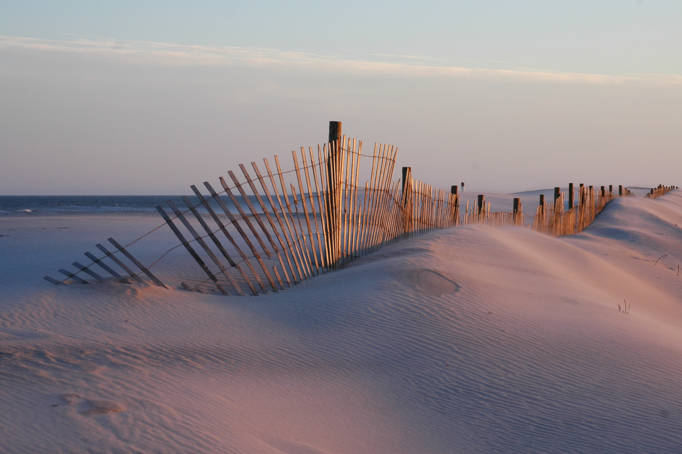 On Delmarva: Afternoon glow on Assateague