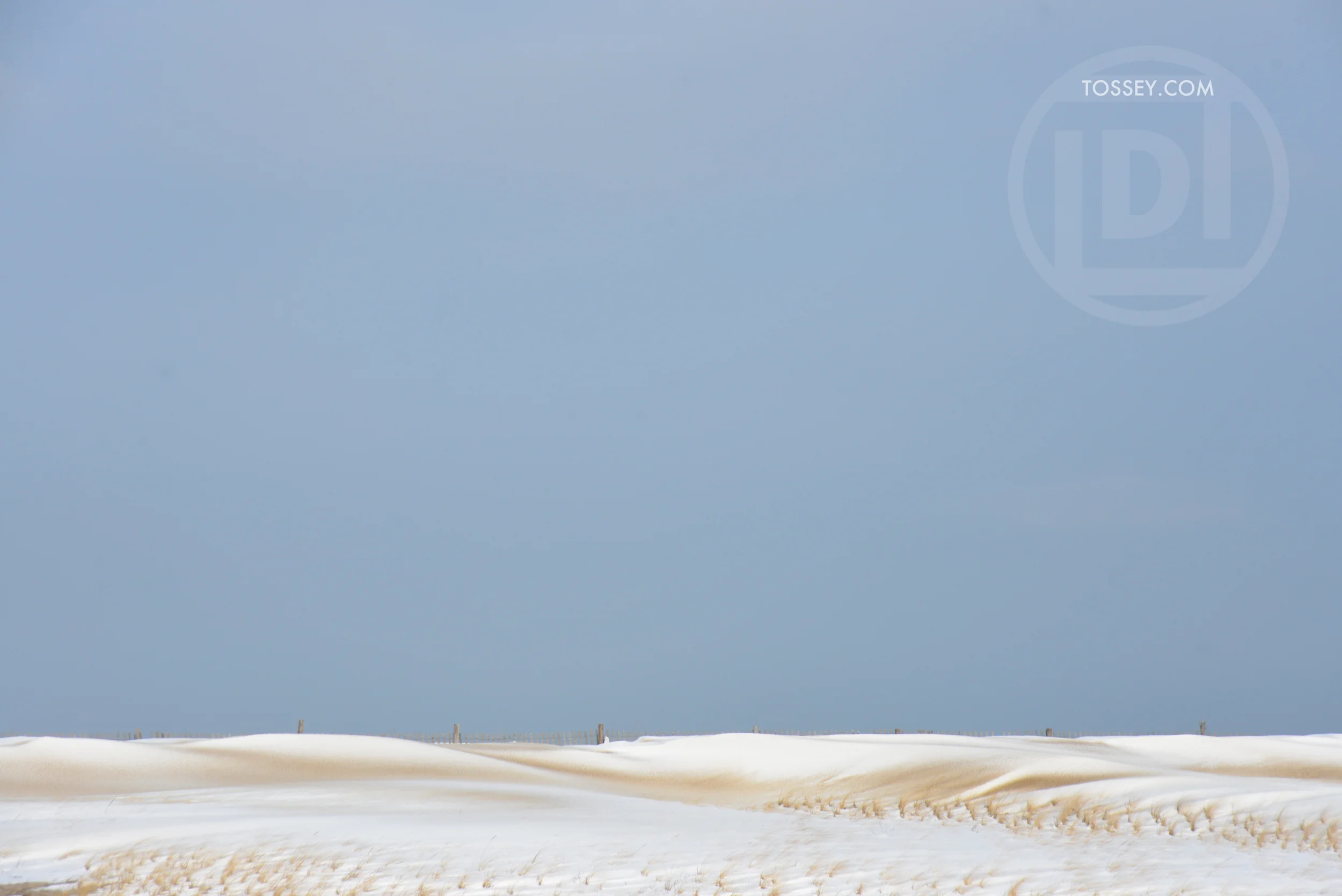 Snowswept dunes in Delaware Seashore State Park this winter