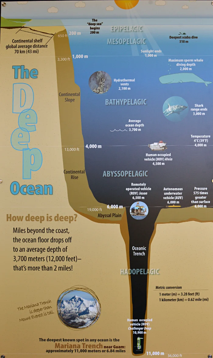 1_vast-how-deep.jpg