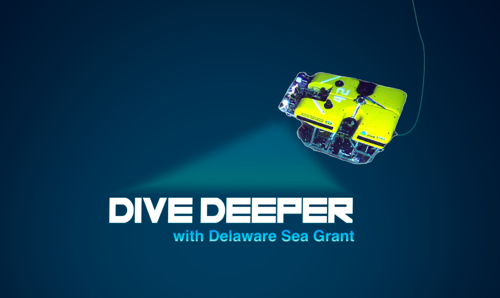 DESG-Dive-Deeper.png