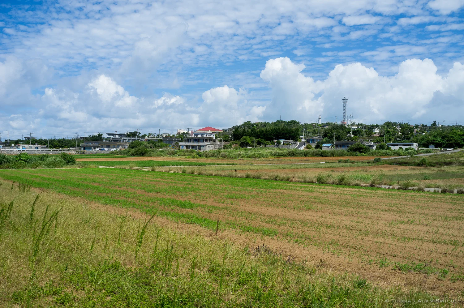 Farmland on Tsuken Island. Fuji x100.