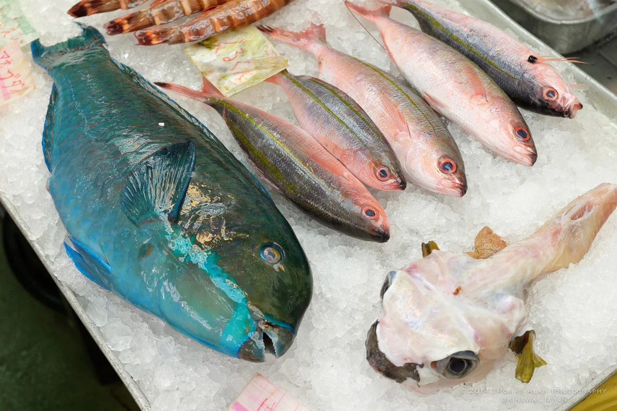 Naha Fish Market. Fuji x100s with TCL-X100 Teleconverter Lens. SOOC with Fuji Provia camera profile and Lens Correction applied. f/5.6, 1/100 sec, ISO 640.