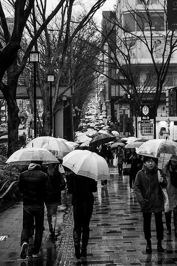  Omotesando - iPhone 6 Plus ISO 32, f/2.2, 1/150 sec. Edited in Lightroom Mobile. 