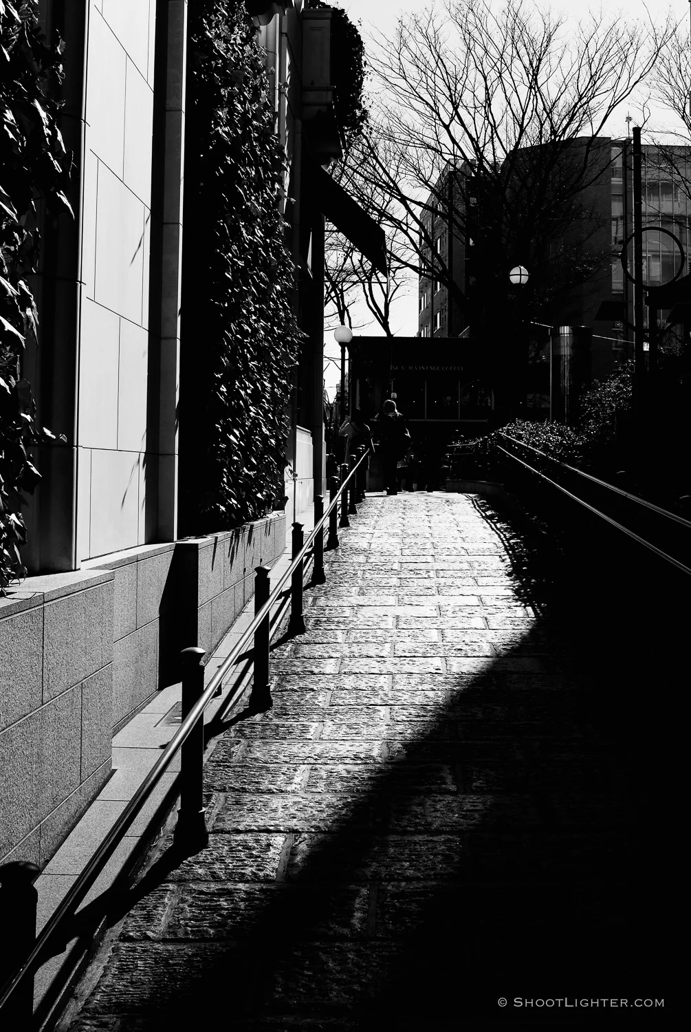 Tokyo, Japan - Fuji x100s.