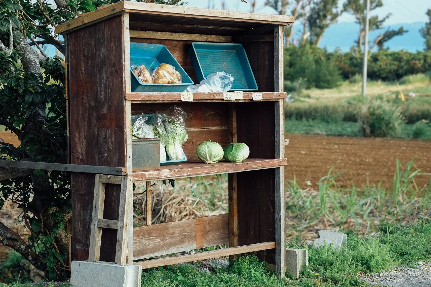Vegetable Stand on Kouri Island, Okinawa, Japan. - Fuji X-Pro1, 60mm f2.4 lens.