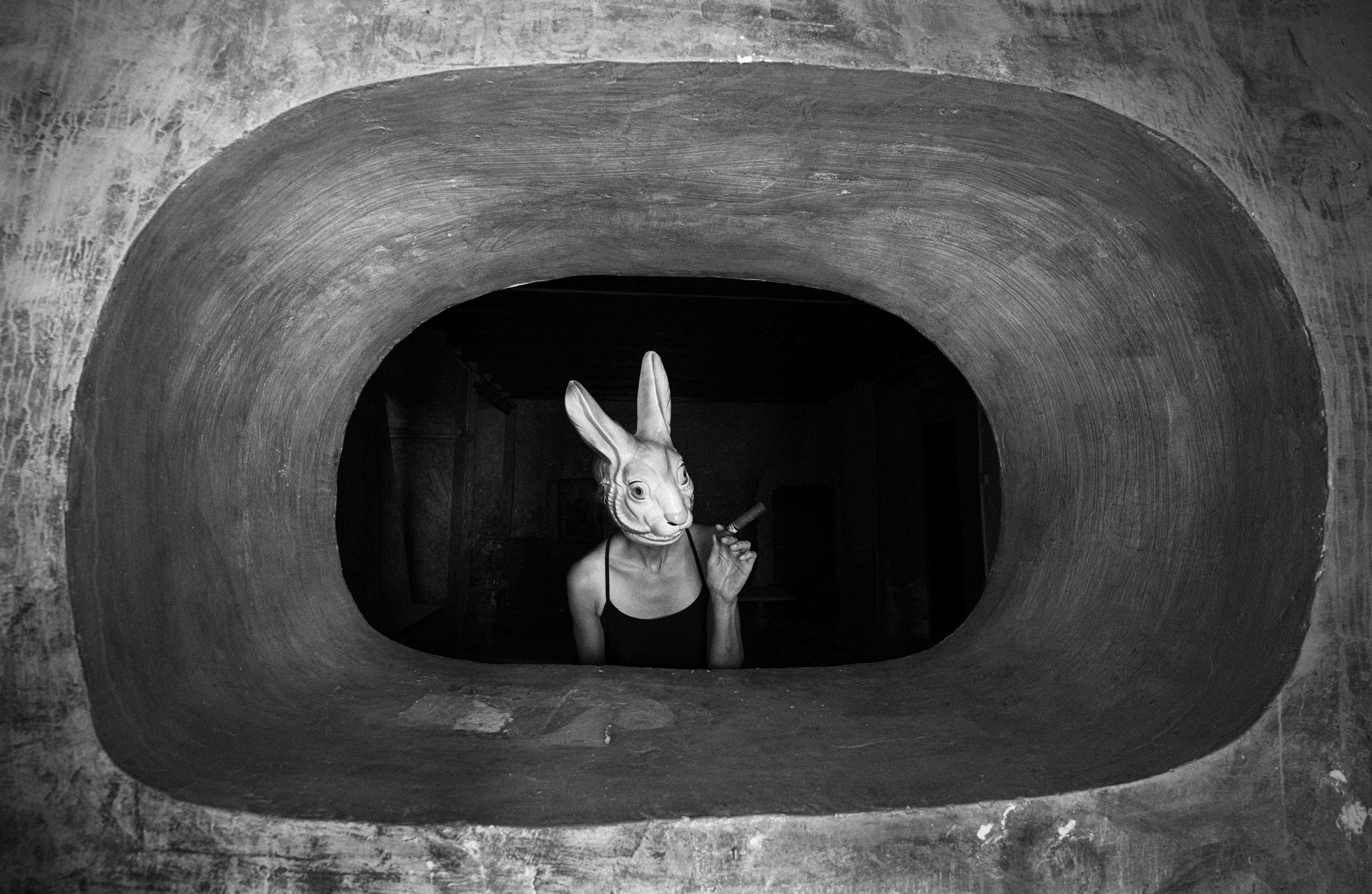 Self Portrait: Down the Rabbit Hole (of COVID19).  