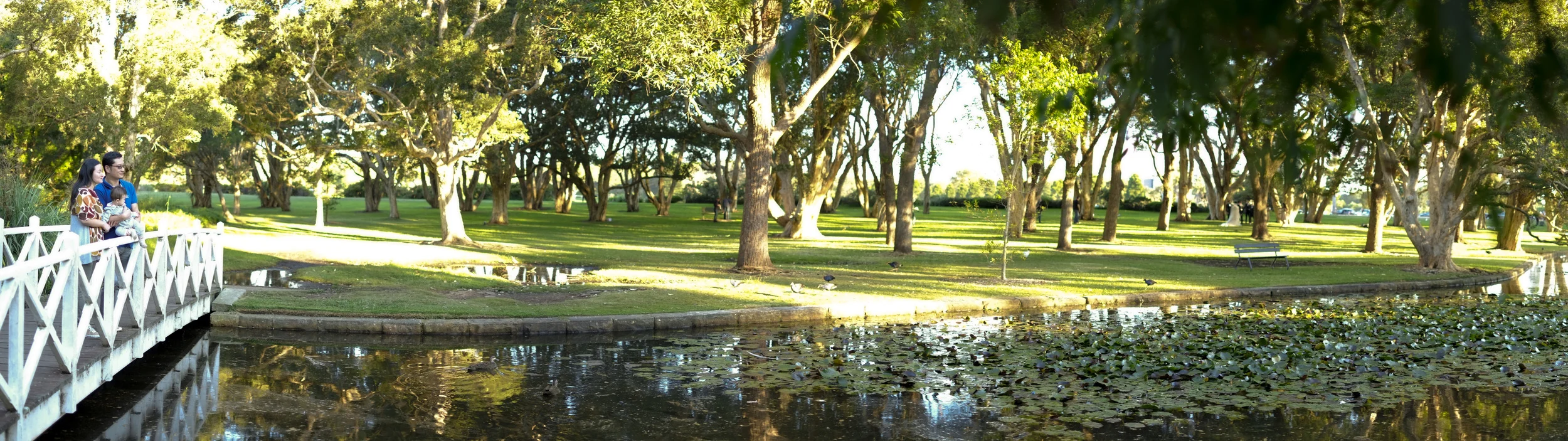 DSCF2653.jpg