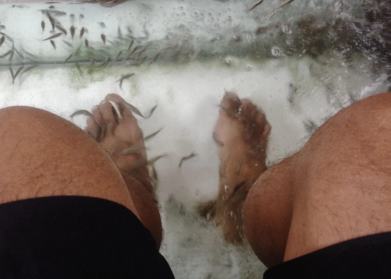 I swear I did not step on any .. any maybe they got food poisoned ?