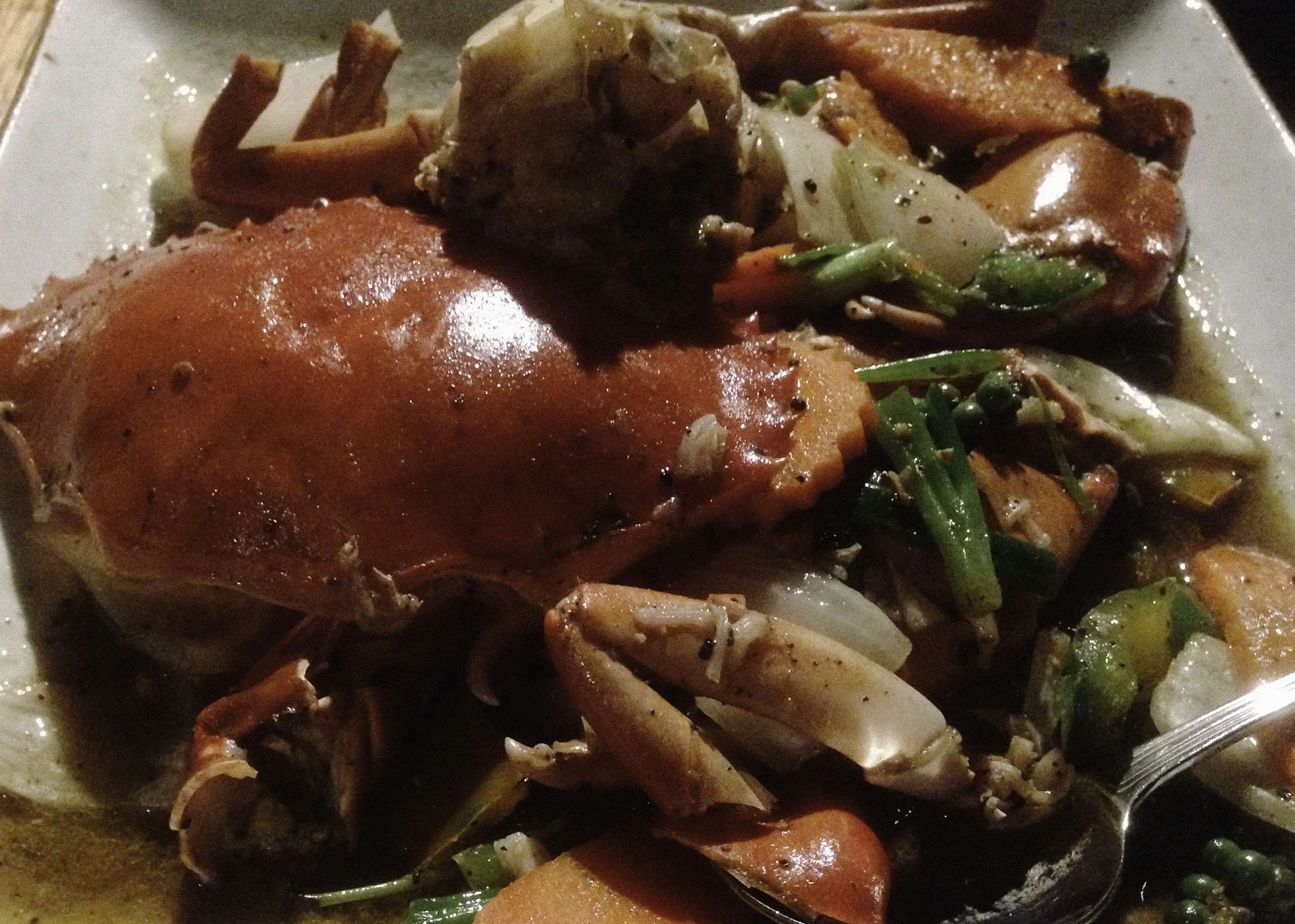 A typical sized mud crab