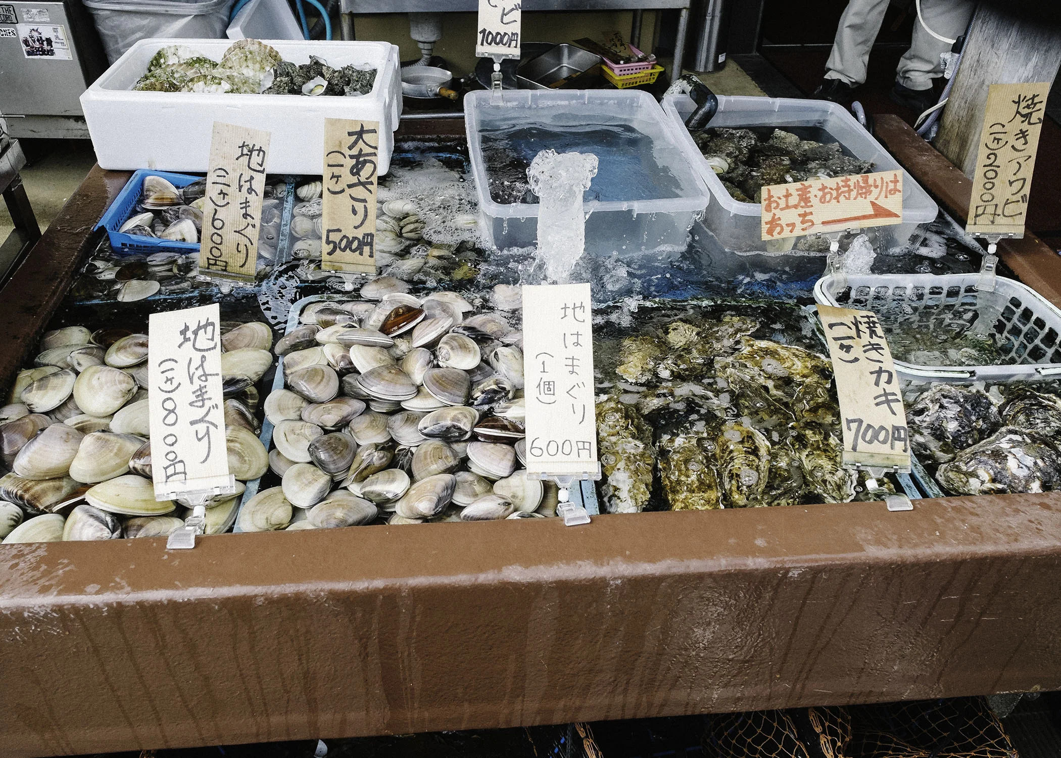 Lots of fresh seafood by the sea side
