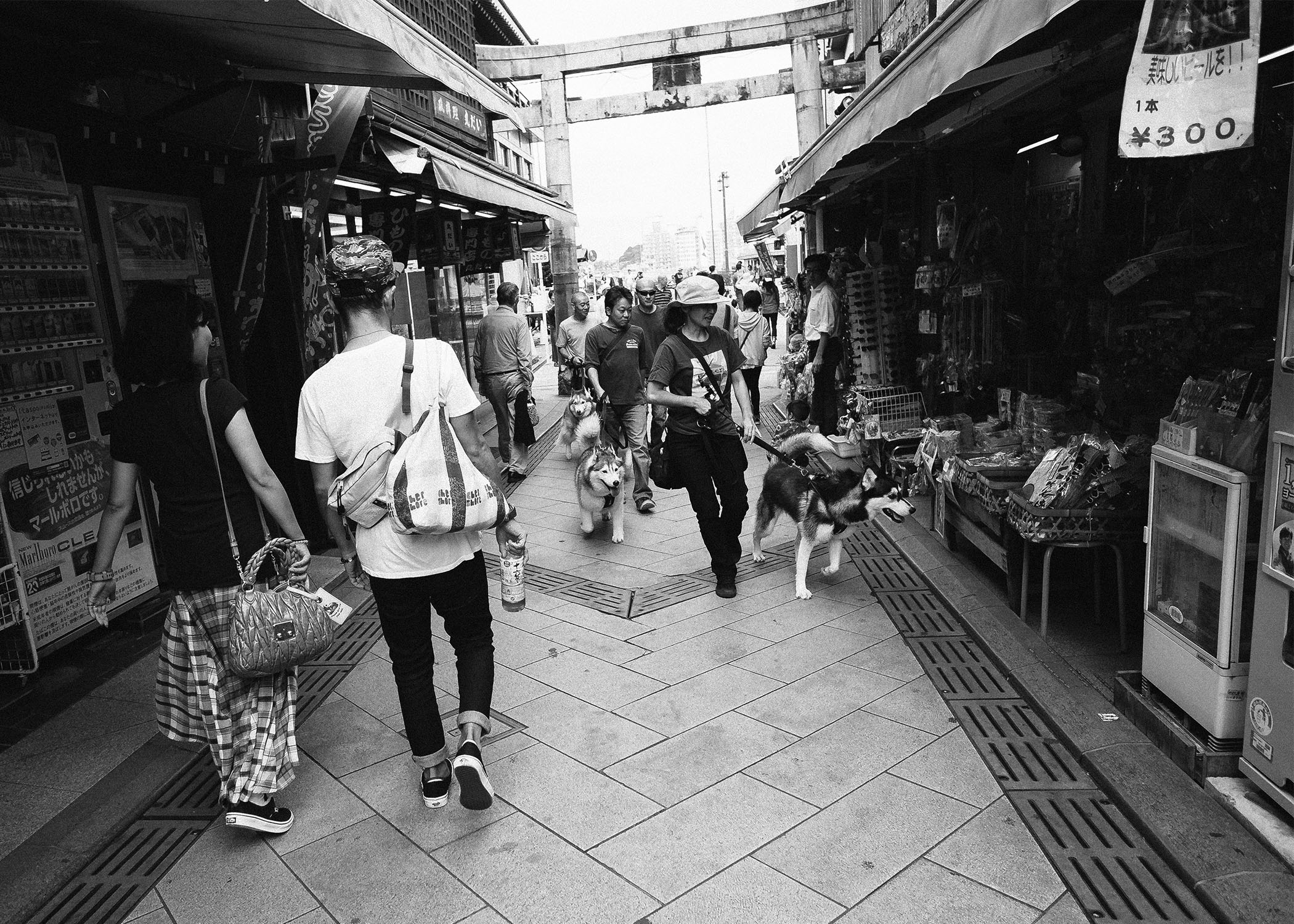 Some take their dogs for a walk