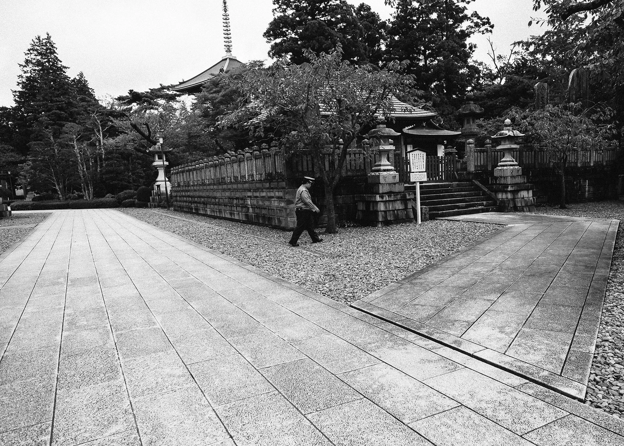 Patrolling or praying ? though look how clean it is