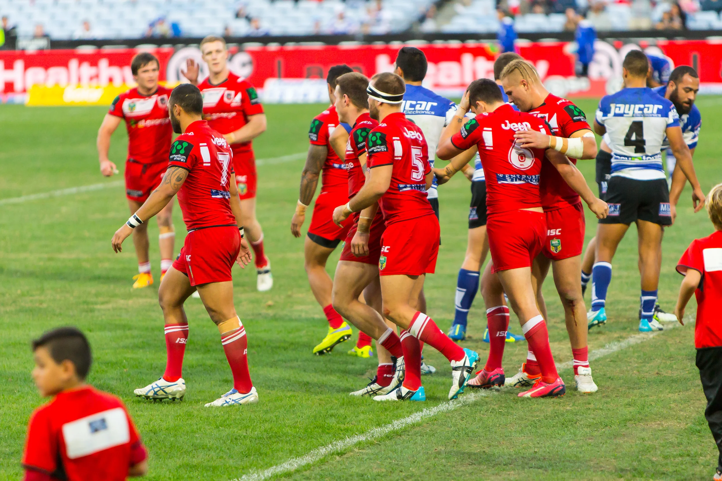 Back to settling down and to tame the big Dogs pack