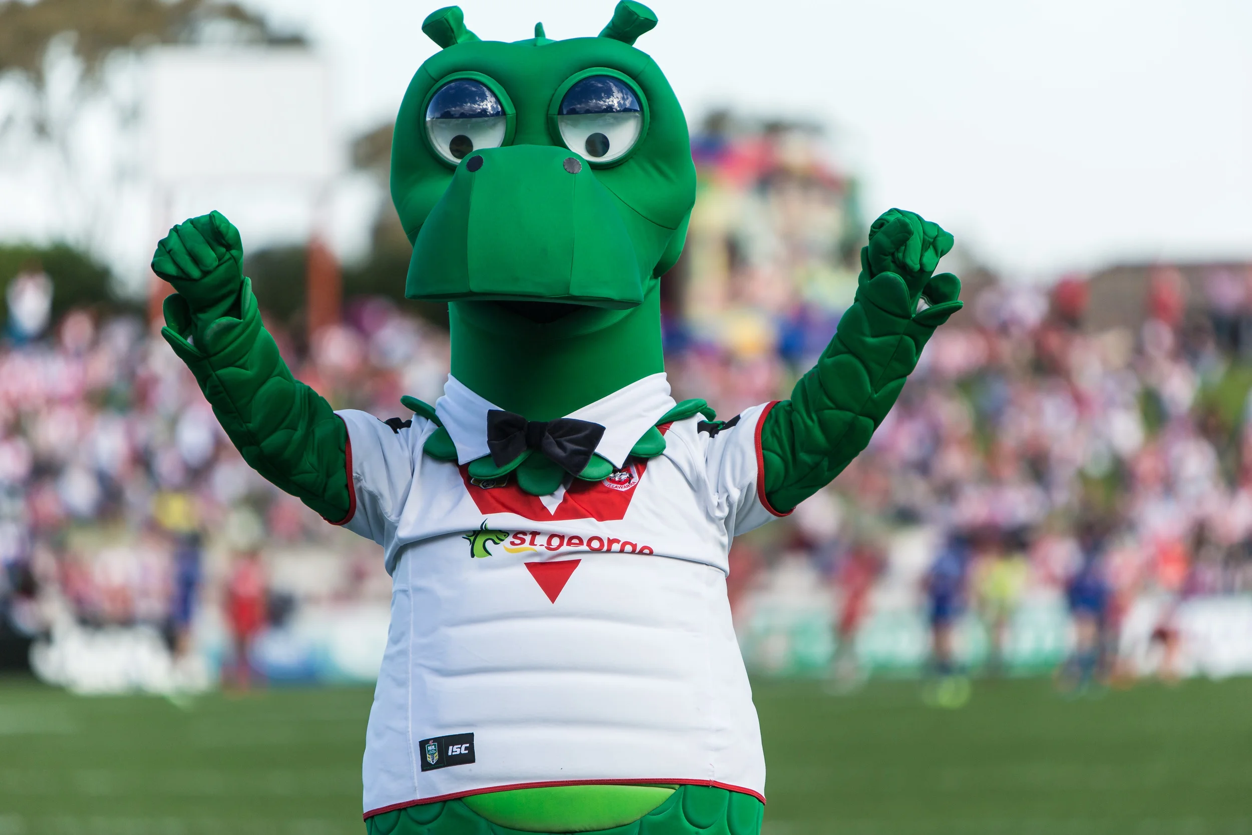 Happy Dragon is definitely happy that's 12-0