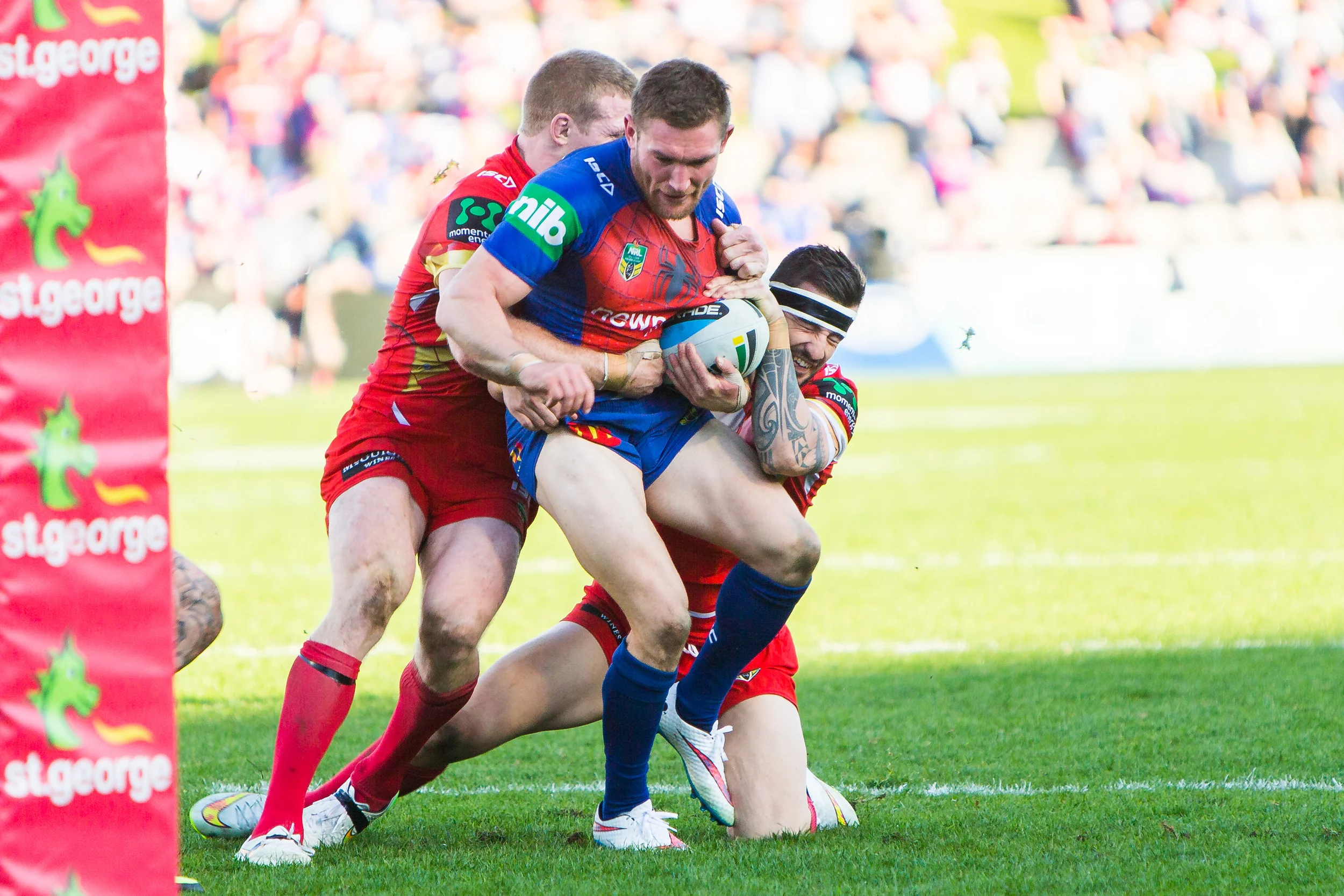 Desperate try line defense is returning Marketo and Creagh are wrapping the Knight up