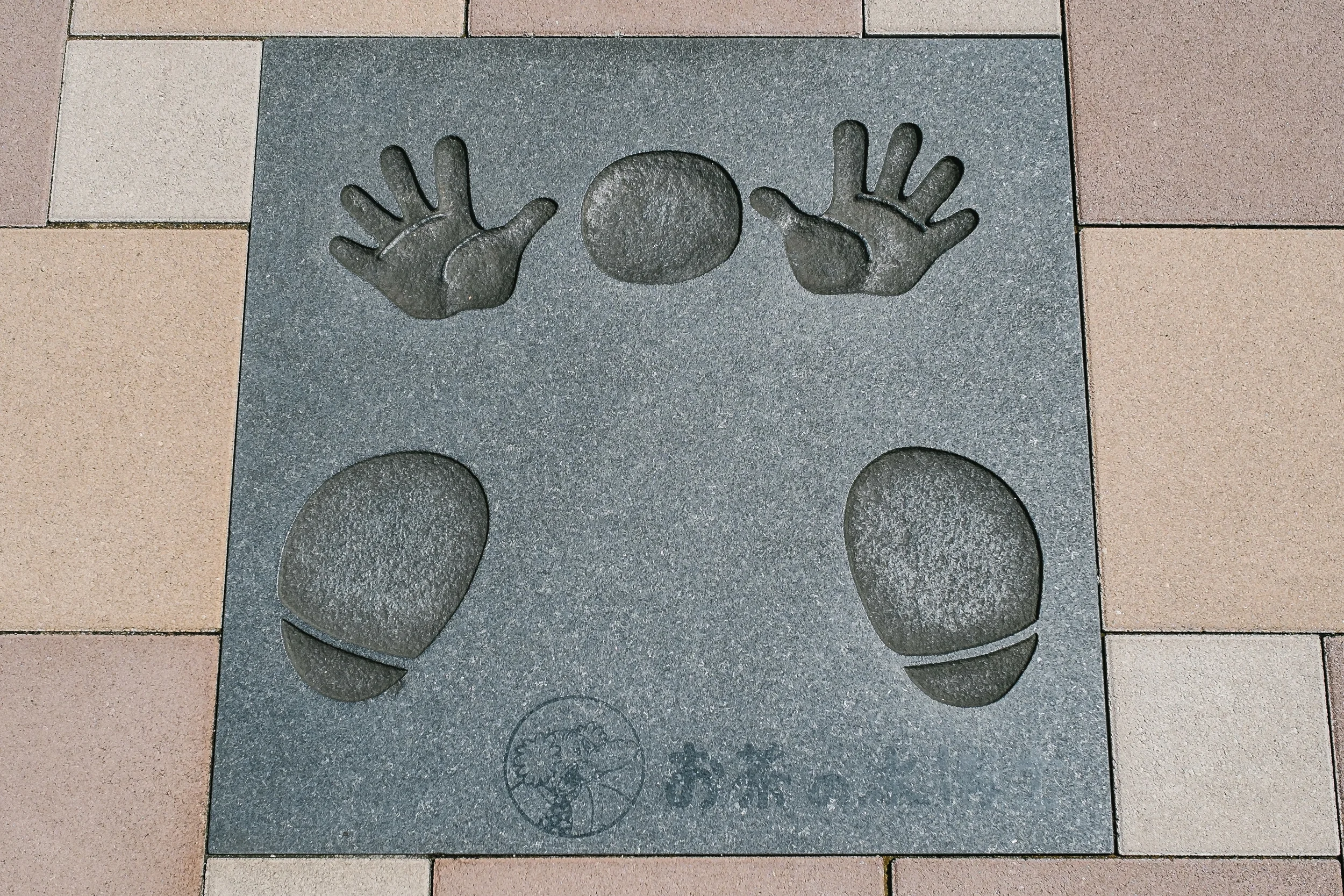 On my way out I could not resist but have a laugh after inspecting Dr Elephants hand, feet nose print in the ground !