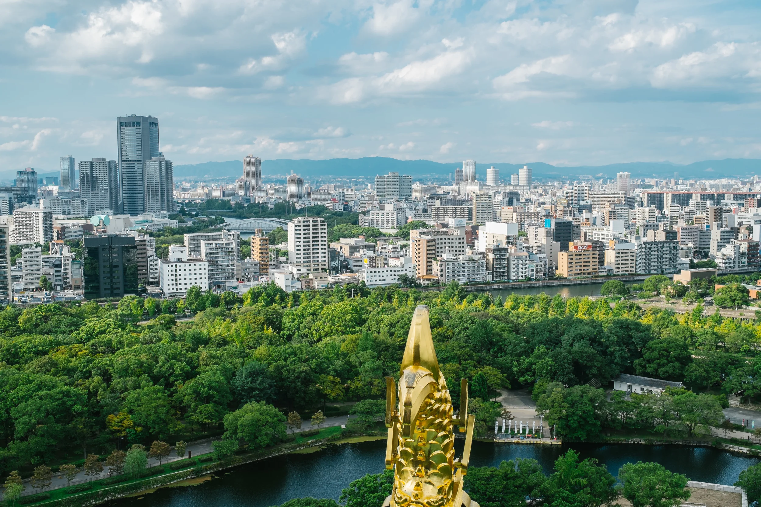 Take the walk up the 8 floors and you will be up at the top before you get your elevator ride