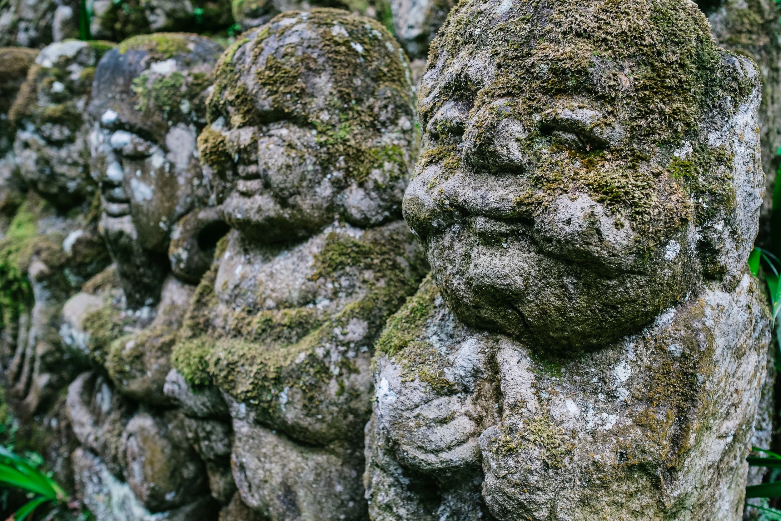 Not quite a Jedi Master