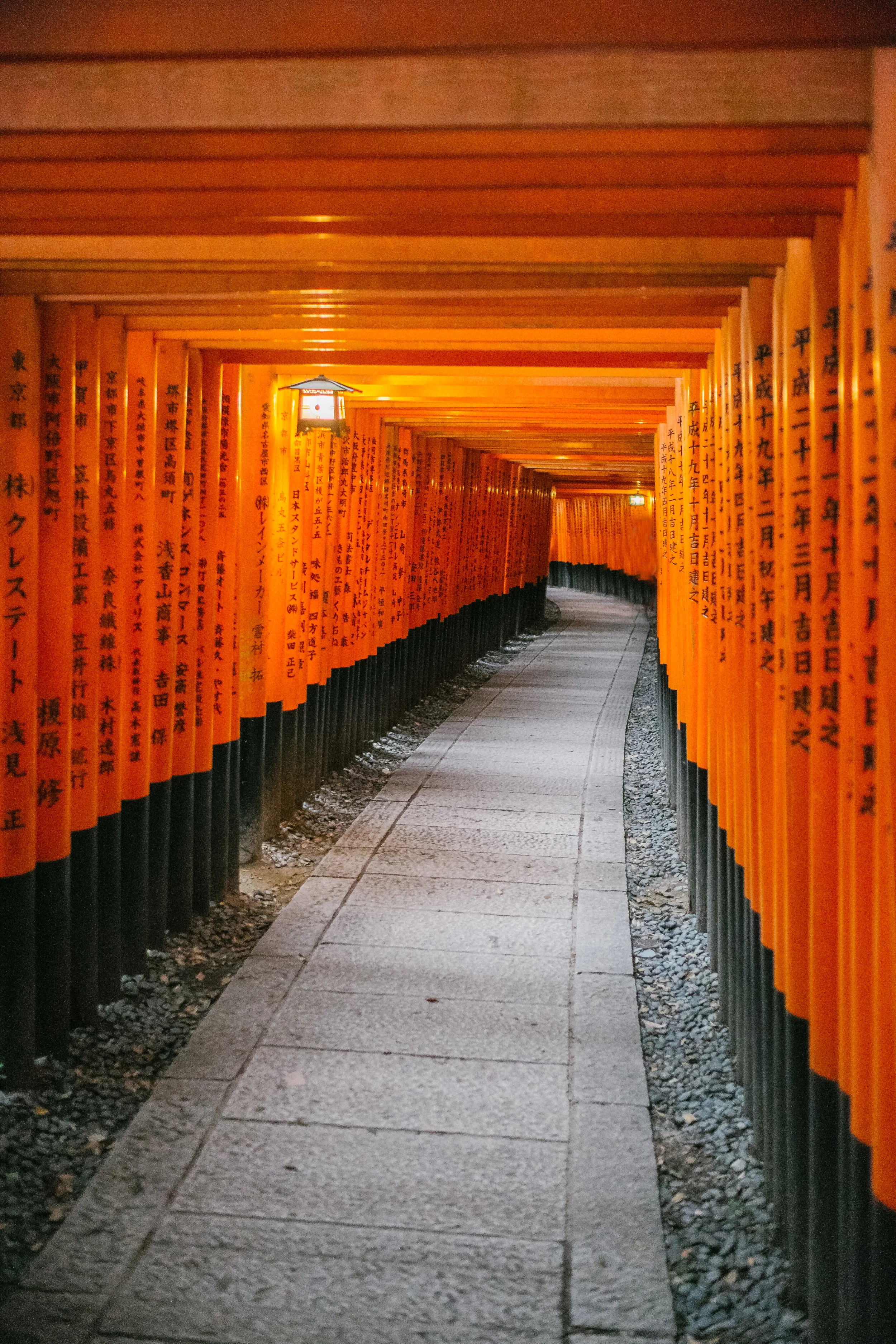 Red torii along a path at the Fushimi Inari Shrine.