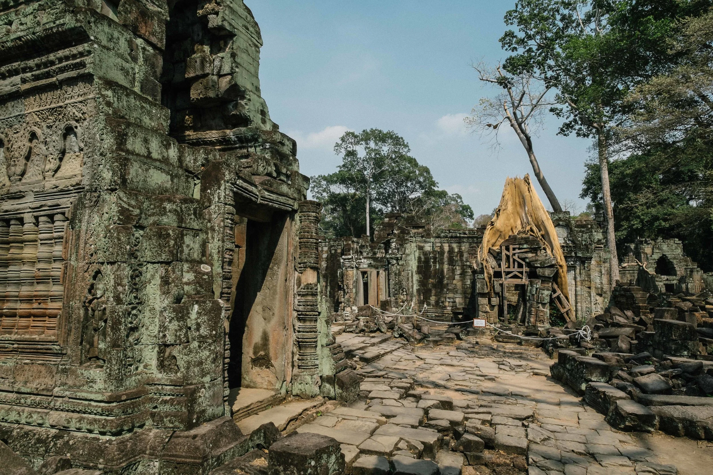 Contrasting colours, The temple is covered in green and red stone. The tree stands out with its orange tinge.&nbsp;Fuji X-Pro 1, 14mm f/2.8