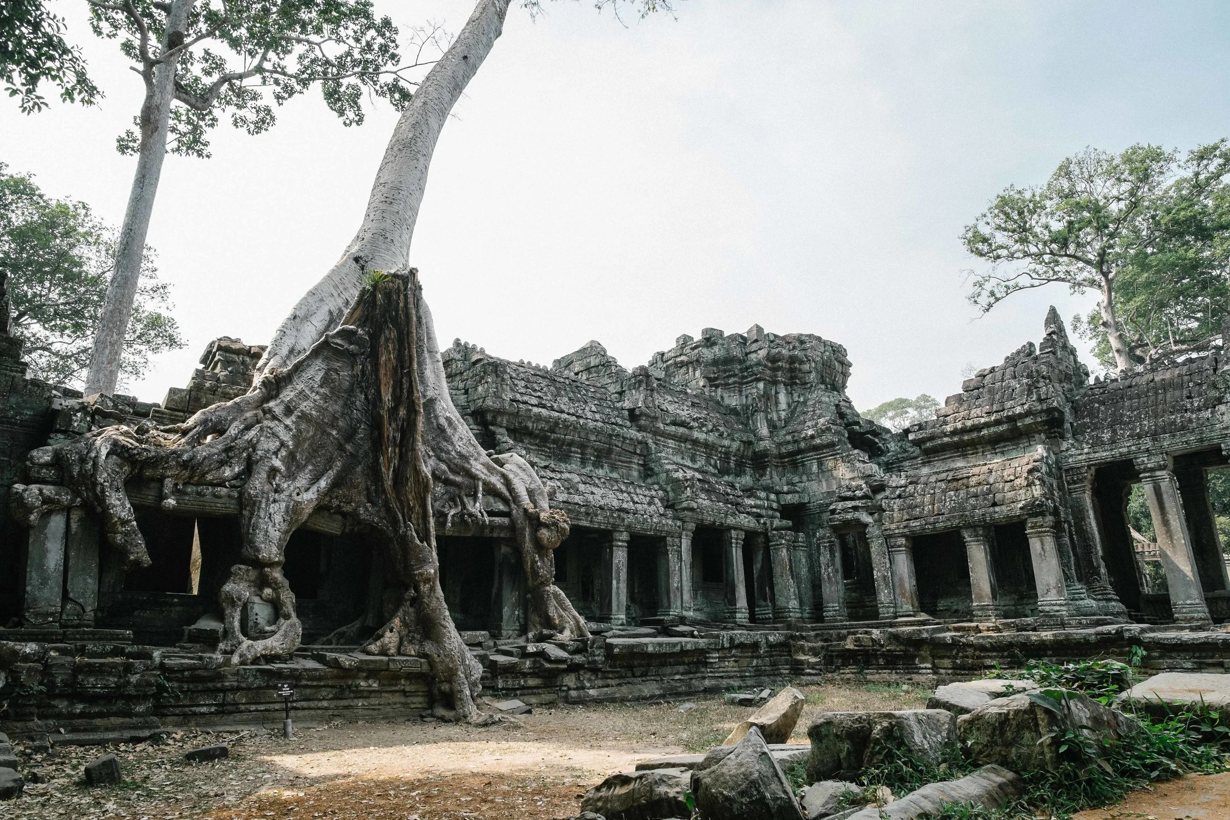 An awesome site, a huge old tree, with roots and all grown on top of the temple, what came first ? the temple or the tree?&nbsp; Fuji X-Pro 1, 14  mm f/2.8