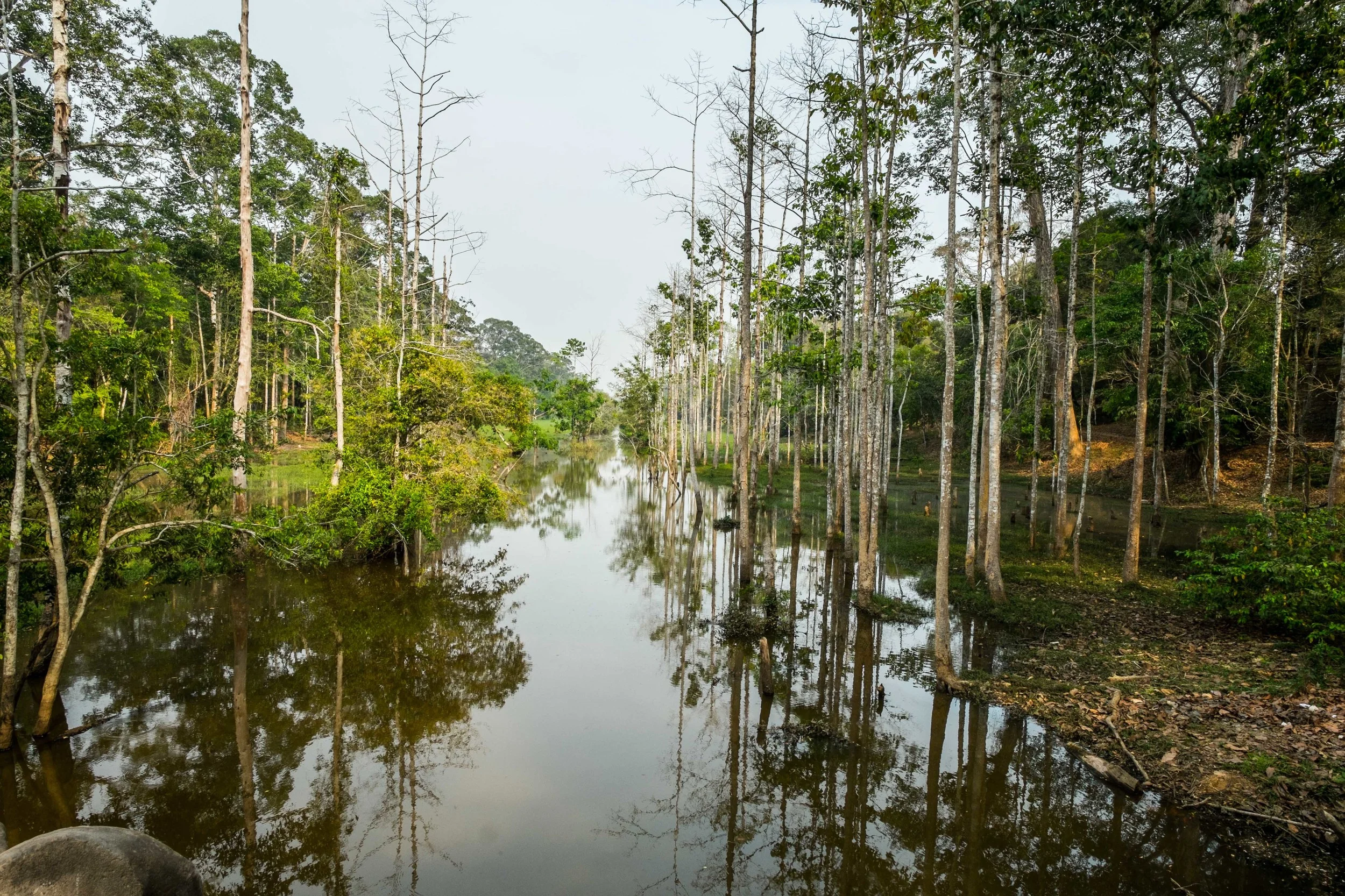River in the forrest, water seems cleaner here with the reflection being quite obvious.&nbsp; Fuji X-Pro 1, 14  mm f/2.8