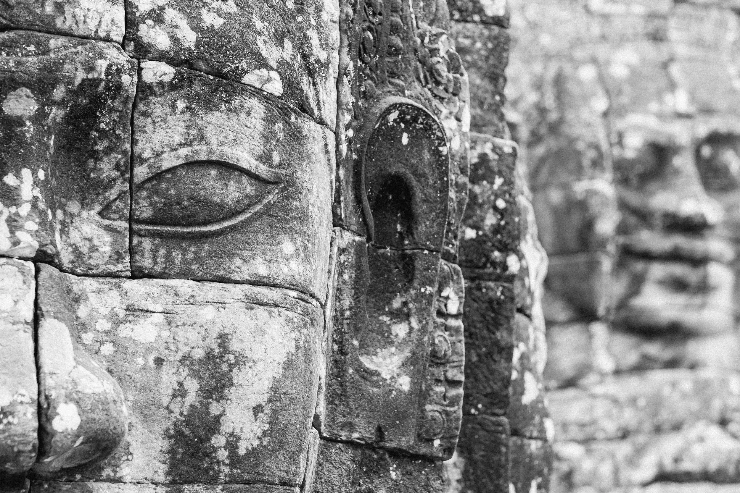 Close up and personal.&nbsp; Fuji X-Pro 1, 56mm f/1.2 R