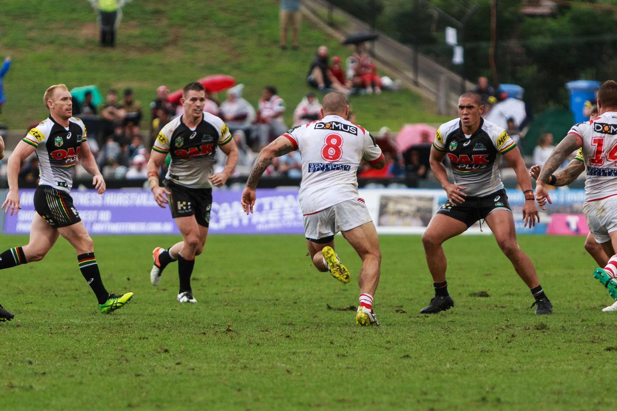 The view Russell Packer has when heading into the Panther's defensive line