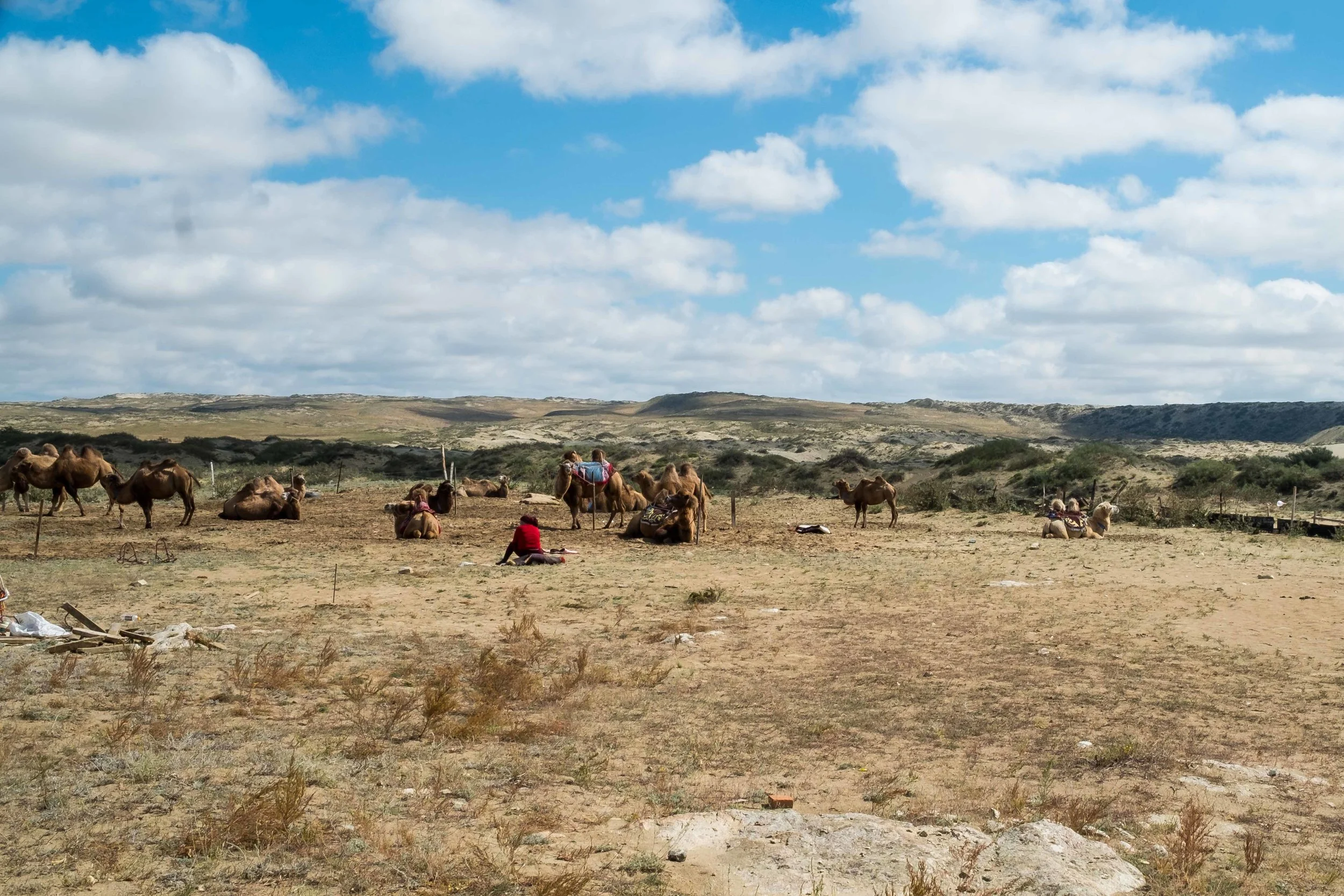 Saw someone offering camel rides on the way from Wucaitan to Hemu Village